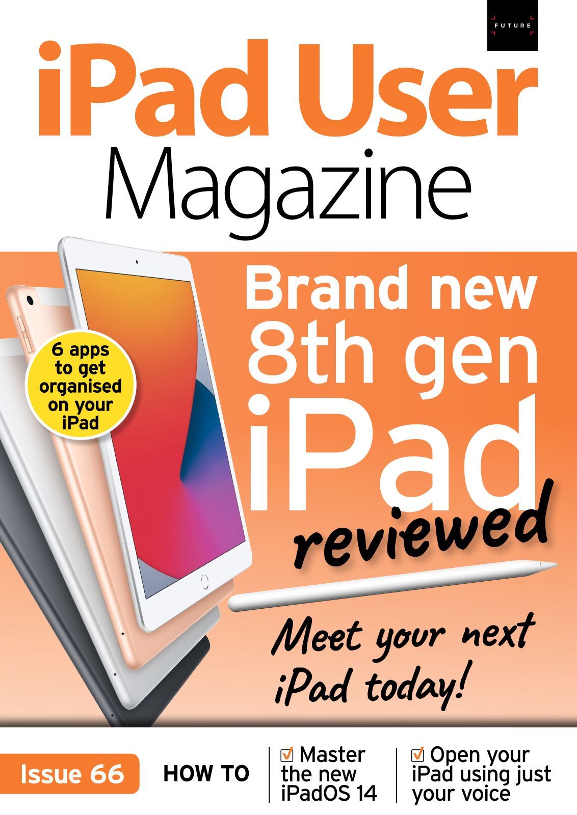 Ipad User Issue 66