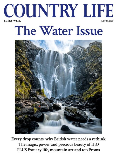 Country Life Magazine 2026-07-15
