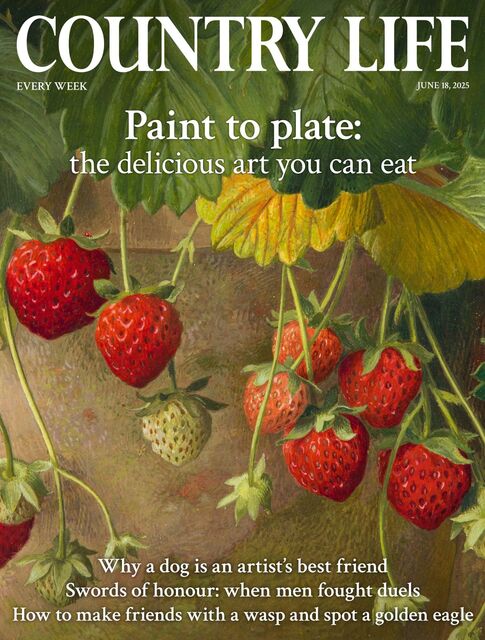 Country Life Magazine 2025-06-18