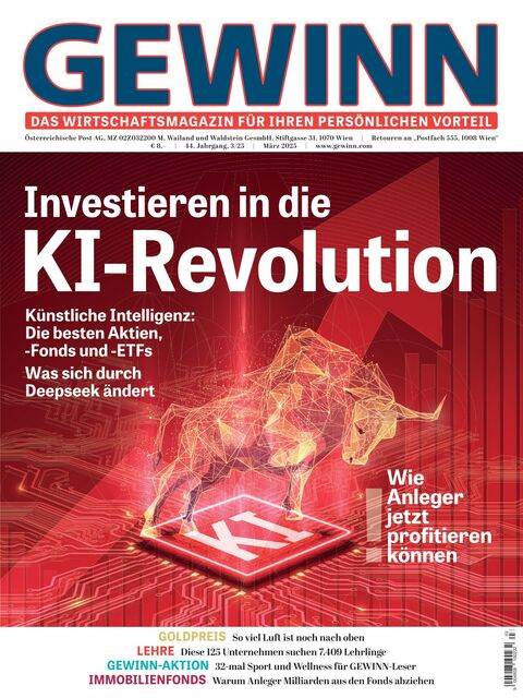 GEWINN Ausgabe 03/2025