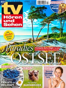 TV Hören und Sehen Zeitschrift Ausgabe 17/2026