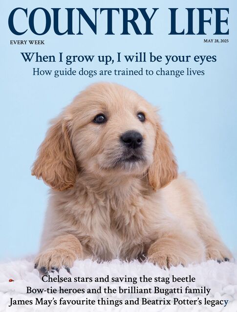 Country Life Magazine 2025-05-28