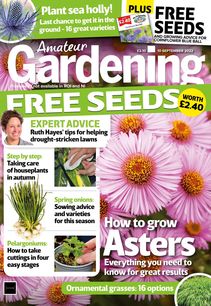 Amateur Gardening Magazine 2022-11-03