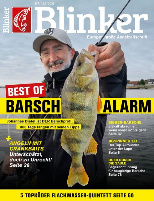 BLINKER Ausgabe 12/2025