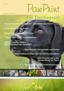 PawPrint Ausgabe 04