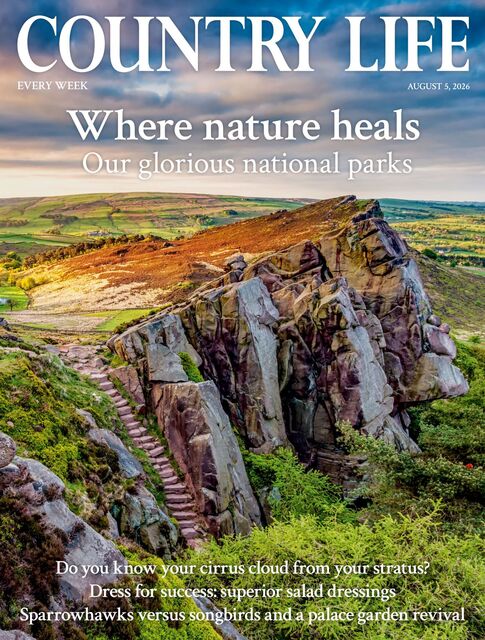 Country Life Magazine 2026-08-05
