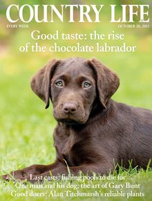 Country Life Magazine - 2021-10-20