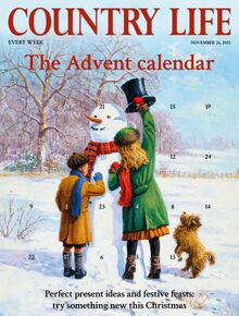 Country Life Magazine 2025-11-26