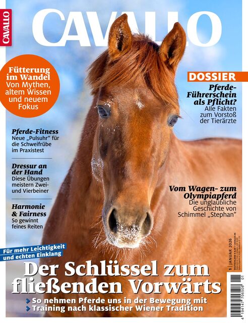Cavallo Ausgabe 01/2026