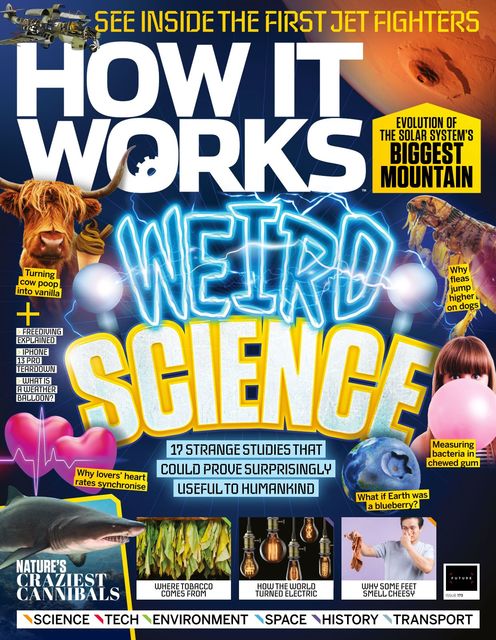 How It Works issue 173
