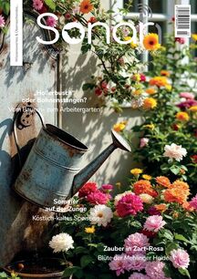Sonah Ausgabe 03/2026