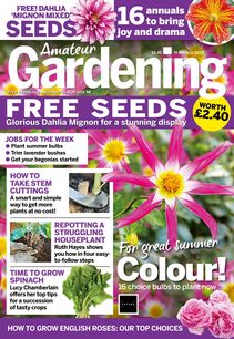 Amateur Gardening Magazine 2023-03-07