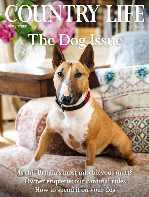 Country Life Magazine 2026-07-22