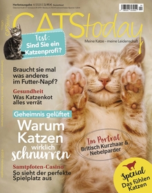 cats today ausgabe 04 2020