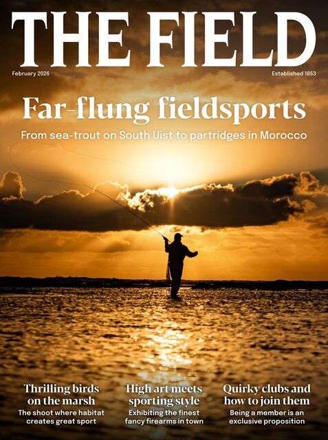 The Field Magazine 2026-01-15