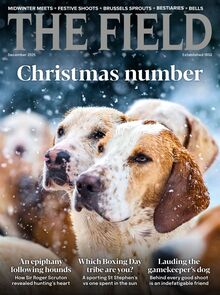 The Field Magazine 2025-11-06