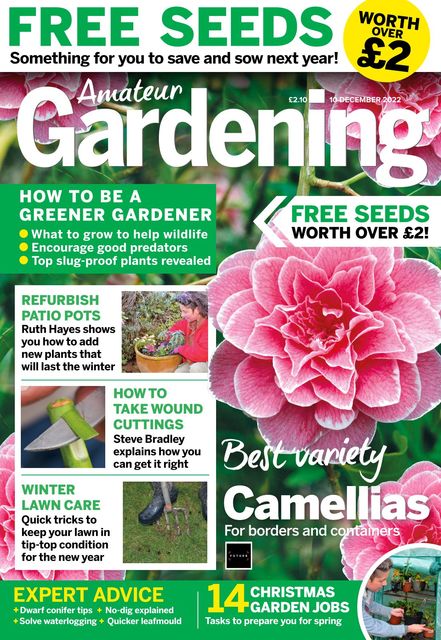 Amateur Gardening Magazine 2022-12-06