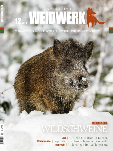 Weidwerk Ausgabe 12 2019