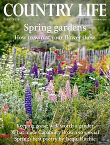 Country Life Magazine 2026-03-18