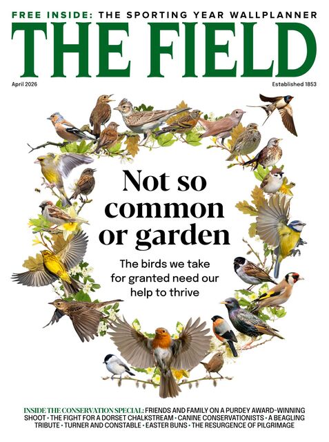 The Field Magazine 2026-03-12