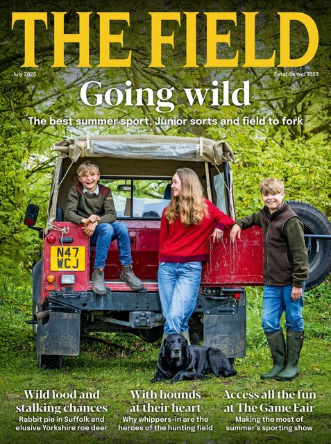 The Field Magazine 2026-06-11
