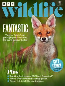 BBC Wildlife Magazine issue 05/2022