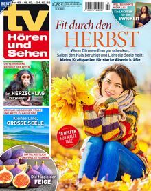 TV Hören und Sehen Ausgabe 42/2025