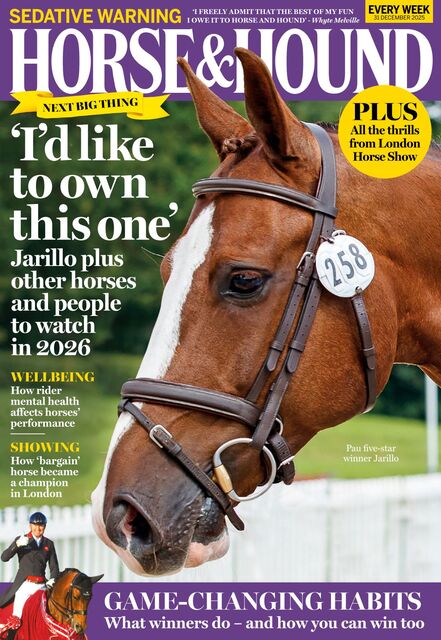 Horse & Hound Magazine 2025-12-31