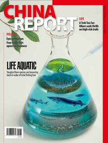 China Report 153