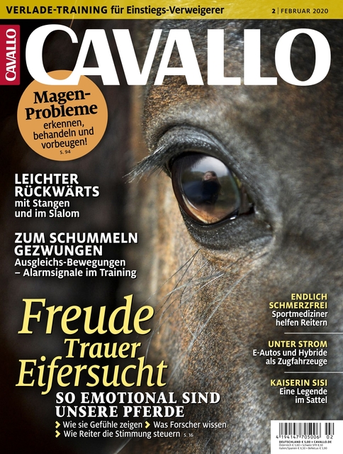 Cavallo 2020 01 21