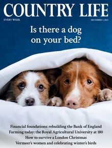 Country Life Magazine 2025-12-03