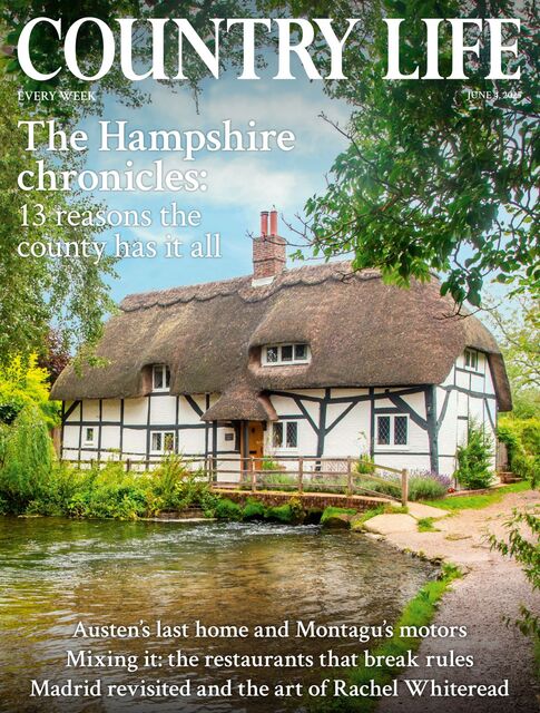Country Life Magazine 2025-06-04