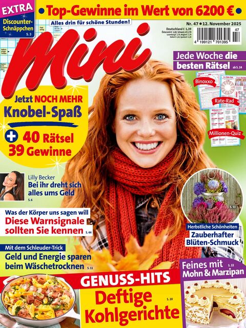 Mini Ausgabe 47/2025