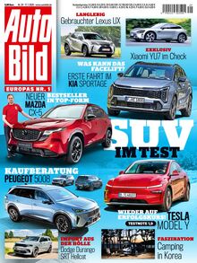 486-auto-bild