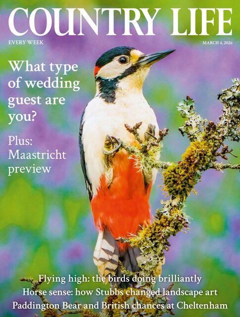 Country Life Magazine 2026-03-04