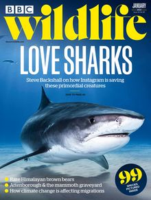 BBC Wildlife Magazine issue 01/2022