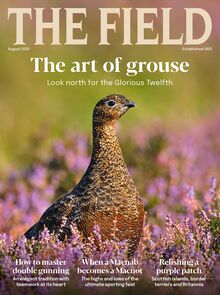 The Field Magazine 2025-07-17