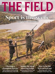 The Field Magazine 2025-09-11