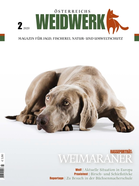 Ausgabe 2/2020