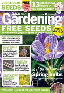 Amateur Gardening Magazine 2022-11-30