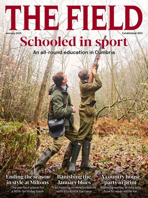 The Field Magazine 2025-12-11