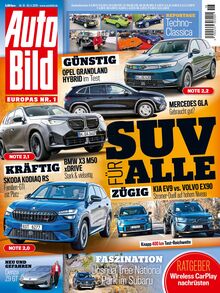 486-auto-bild