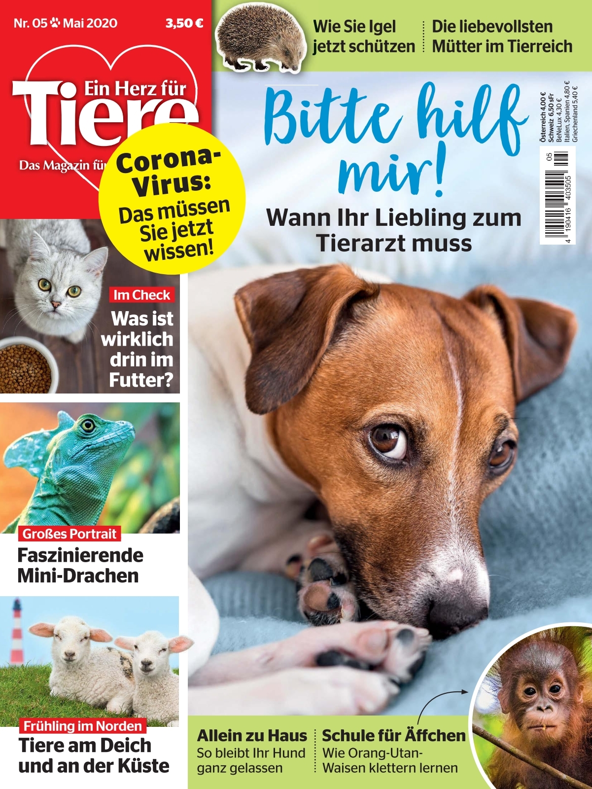 Streunender Gewichtsverlust