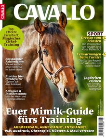 365-cavallo