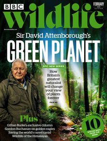 BBC Wildlife Magazine issue 02/2022