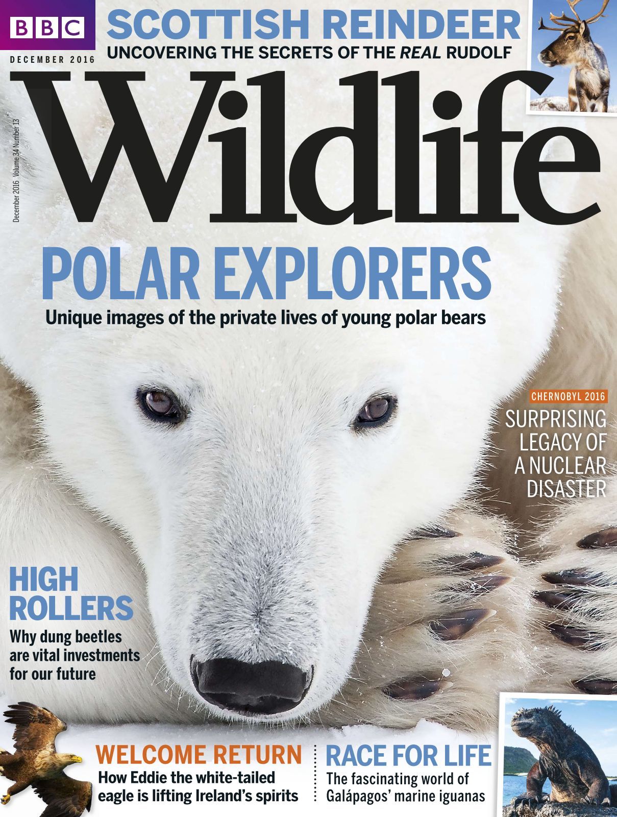 BBC Wildlife - issue 12/2016 
