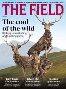 The Field Magazine 2025-06-12