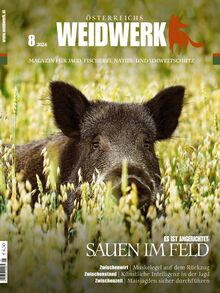 WEIDWERK Ausgabe 08/2024