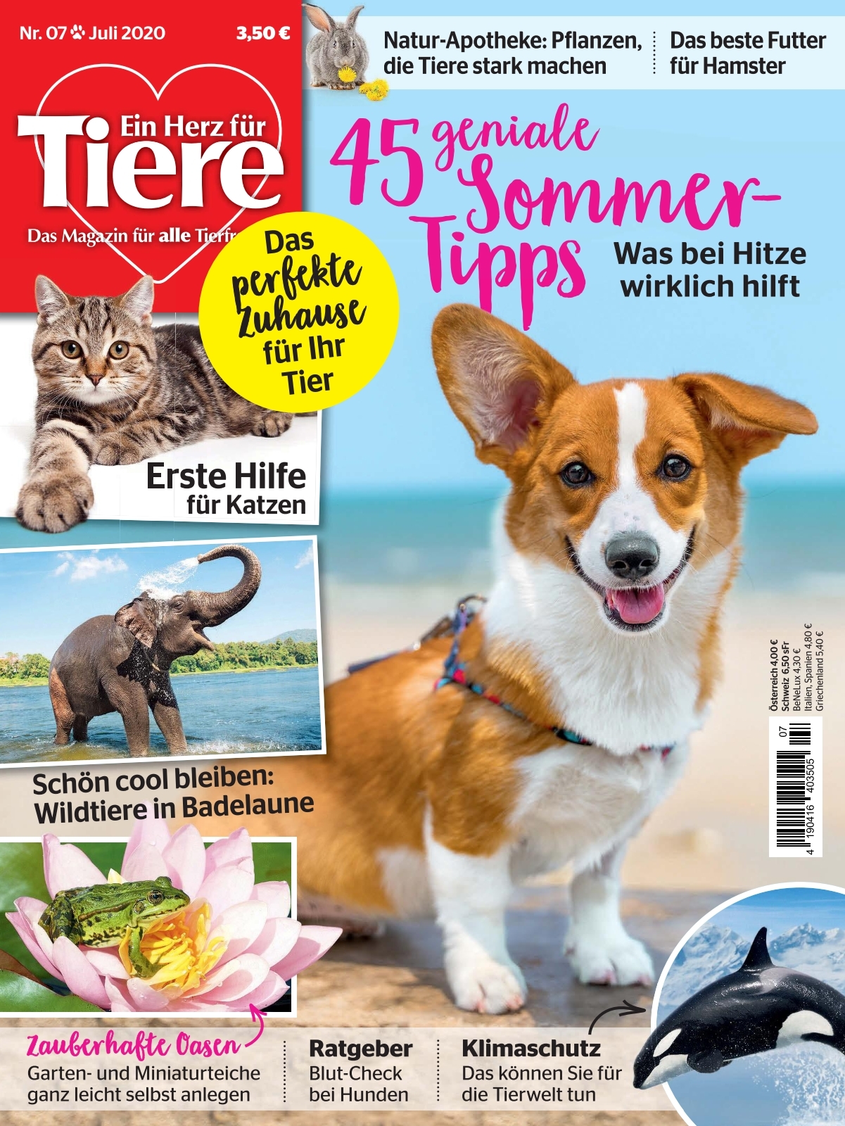 Ein Herz Fur Tiere Ausgabe 07 2020