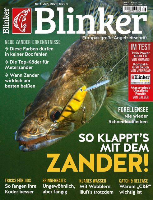 Köderfische Gefroren Karausche Giebel 23 cm 5 Stück Super Fetzenköder für Zander Köderfische Gefroren Karausche Giebel 23 cm 5 Stück Super Fetzenköder für Zander